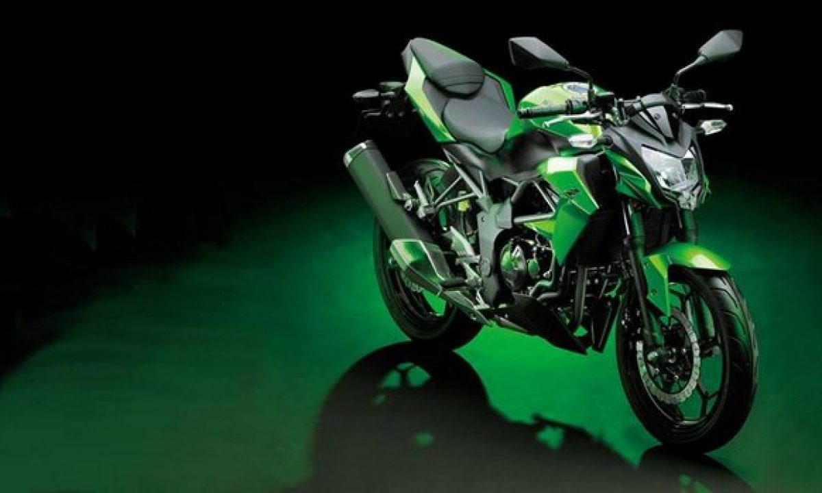 industrialisere handikap montage Kawasaki Z250 outpaced by Ninja 300 ABS by a mile in India
