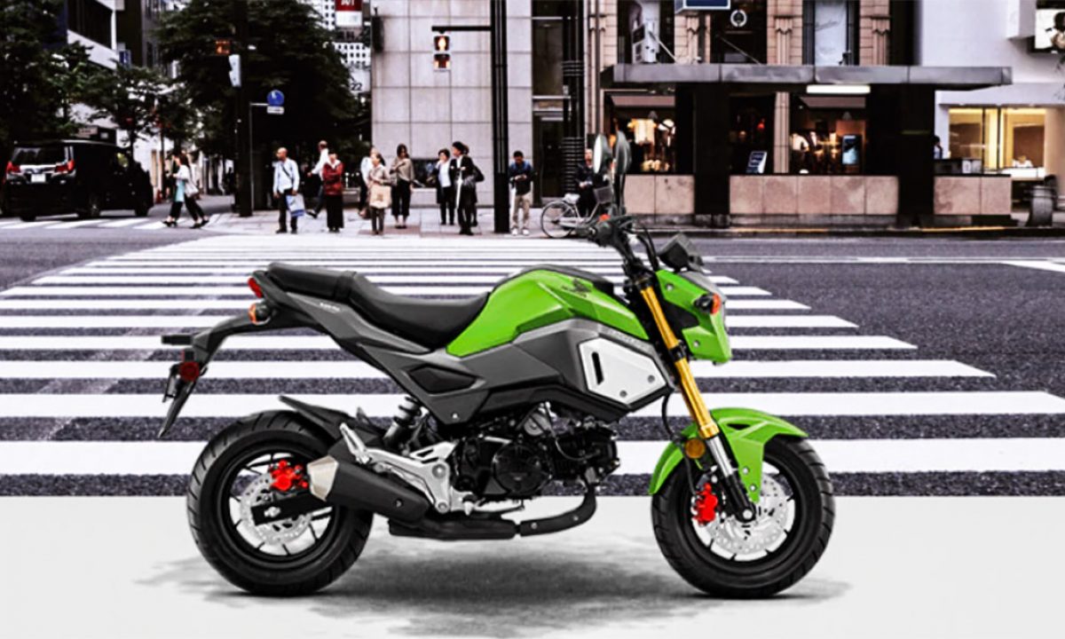 Honda Grom 125 Minibike Makes Global Debut Gets New Colours