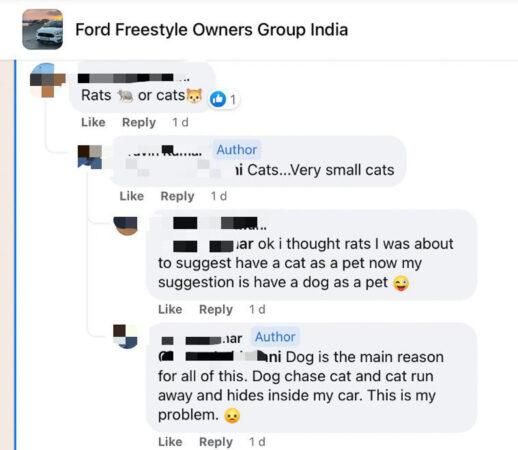 Owner clarifies that the protection made is for cats, and not rats.
