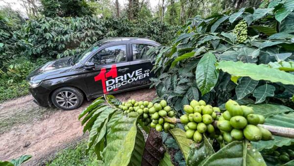 Honda Drive To Discover 11th Edition - Coffee plantation in Coorg