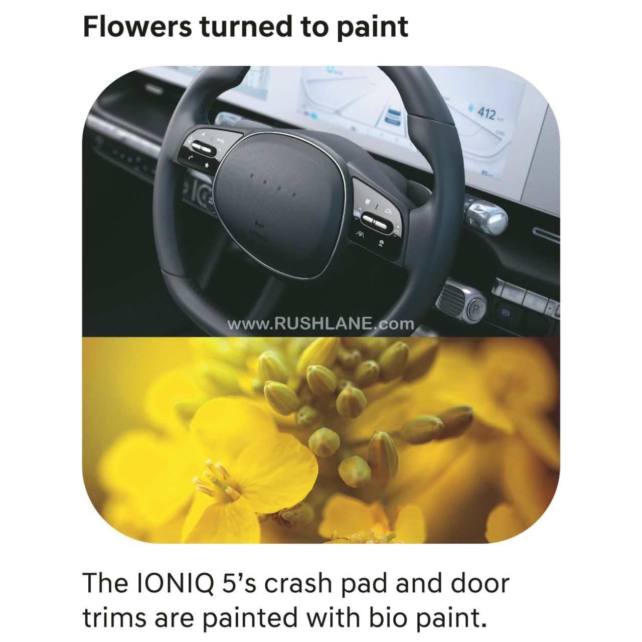Hyundai Ioniq 5 - Flowers Turned To Paint